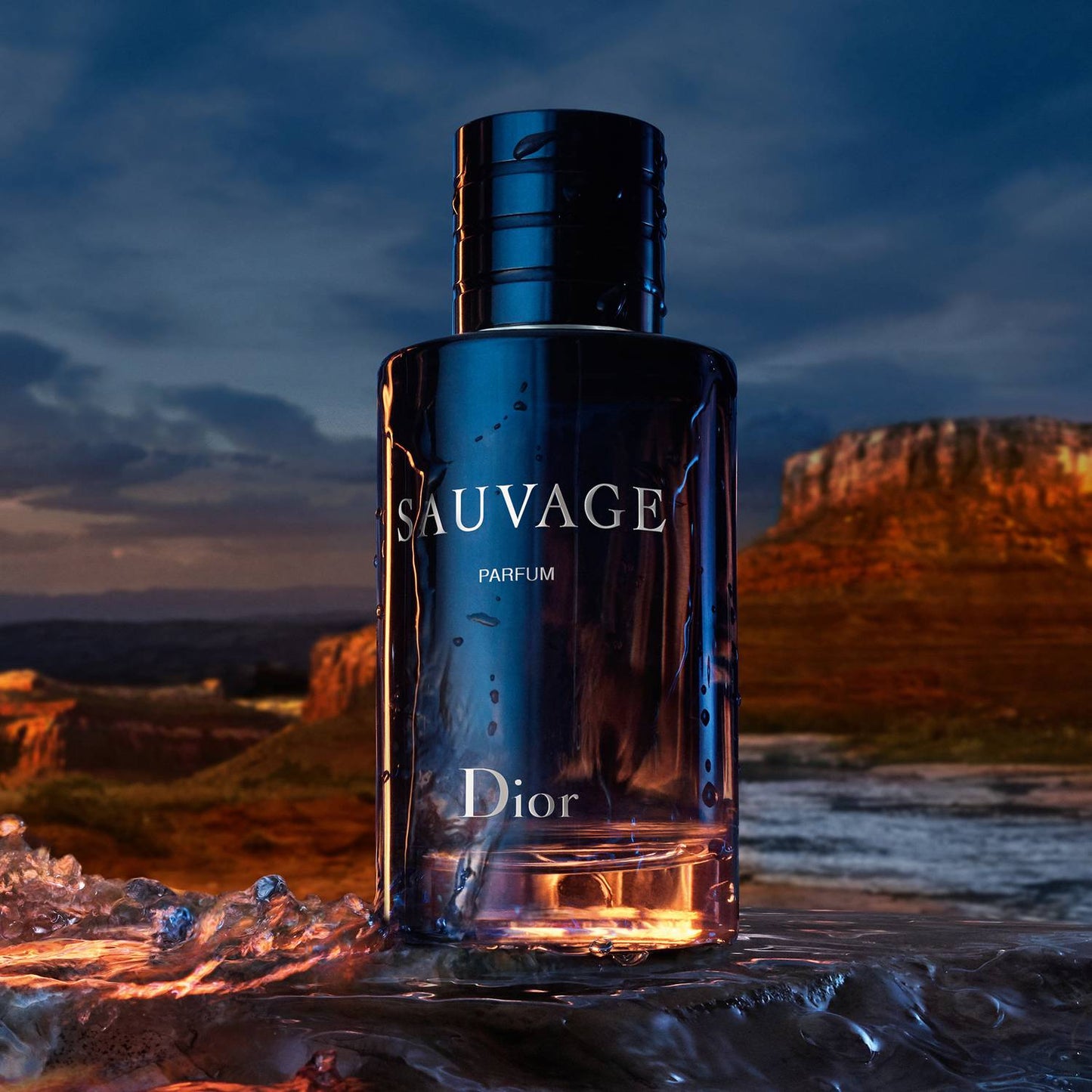 DIOR SAUVAGE PARFUM